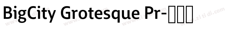 BigCity Grotesque Pr字体转换 BigCity Grotesque Pr字体转换